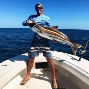 Meet your Posher, Bert